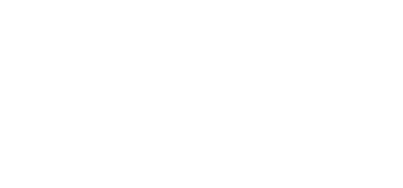 Momentum Markets